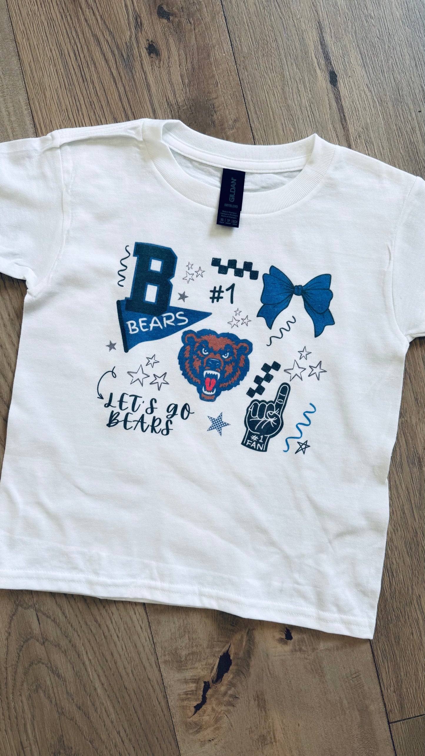 YOUTH Trendy Danville Bears Graphic