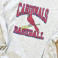 Cardinals Baseball Graphic