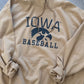 Iowa Baseball Hoodie