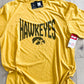 Curved Hawkeyes Graphic