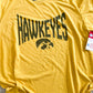 Curved Hawkeyes Graphic
