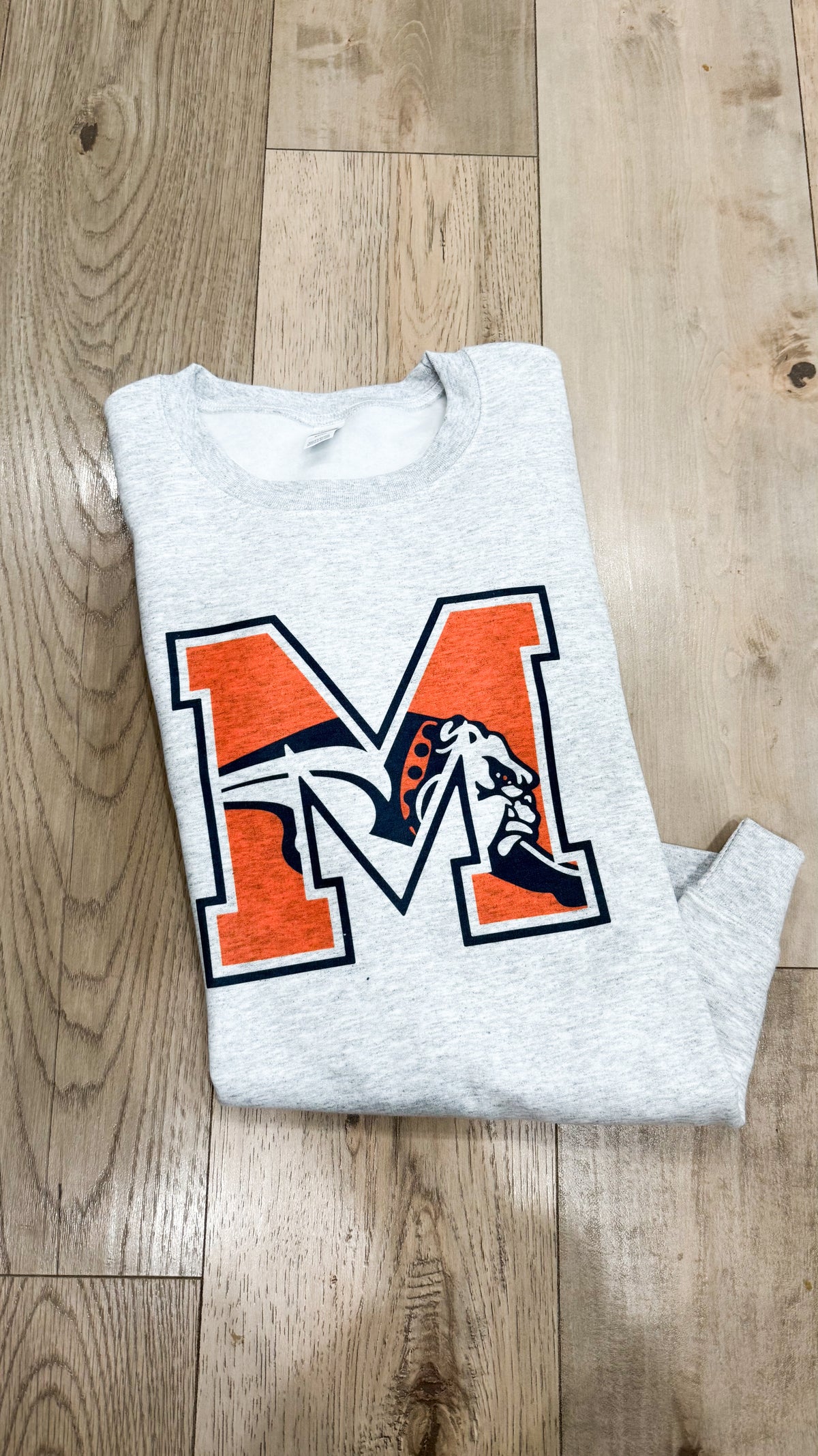 Mediapolis Big Letter Graphic