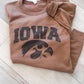 Iowa Hawk Distressed Crew