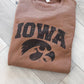 Iowa Hawk Distressed Crew