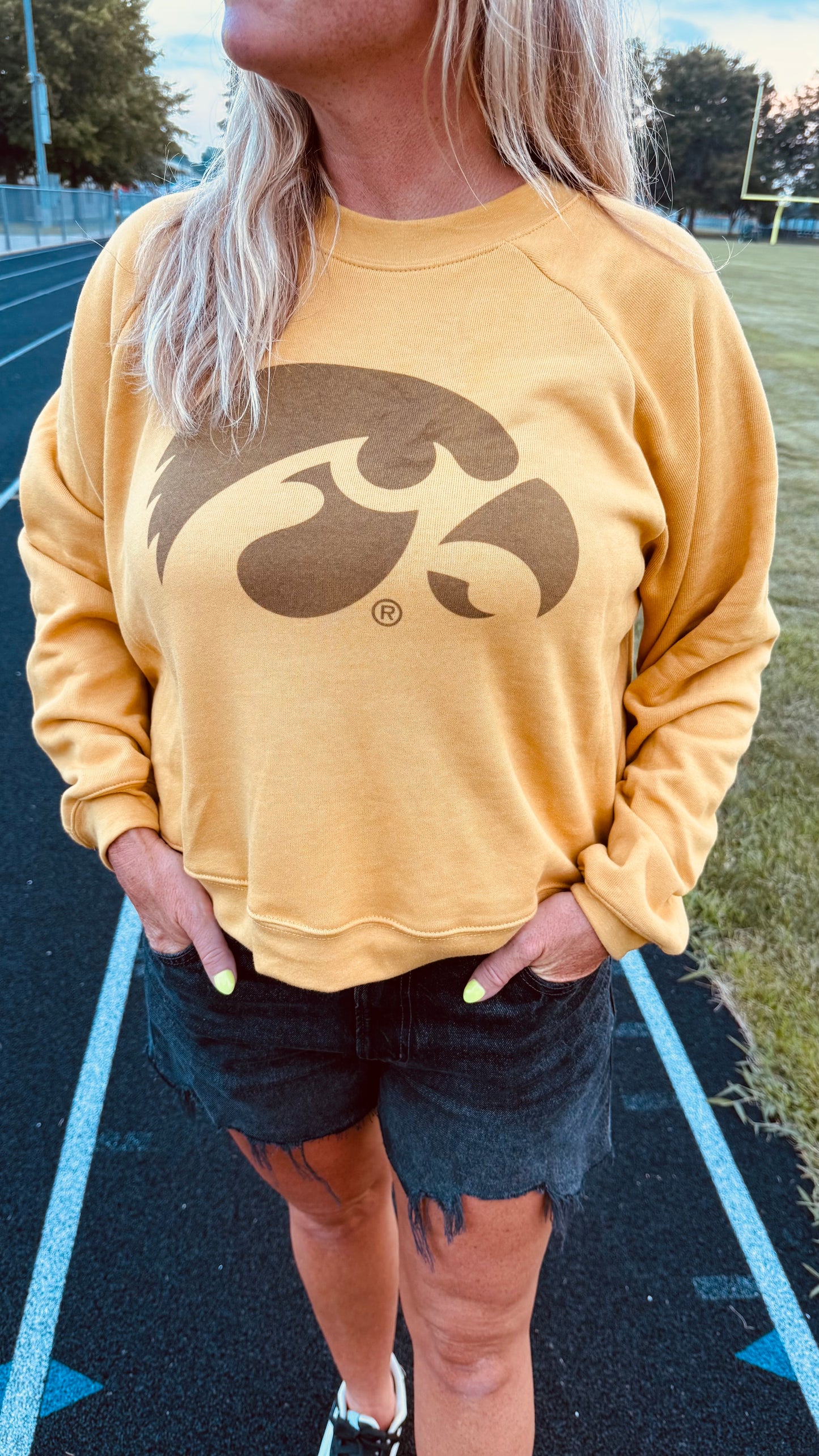 SOFT Hawk Waist Length Pullover