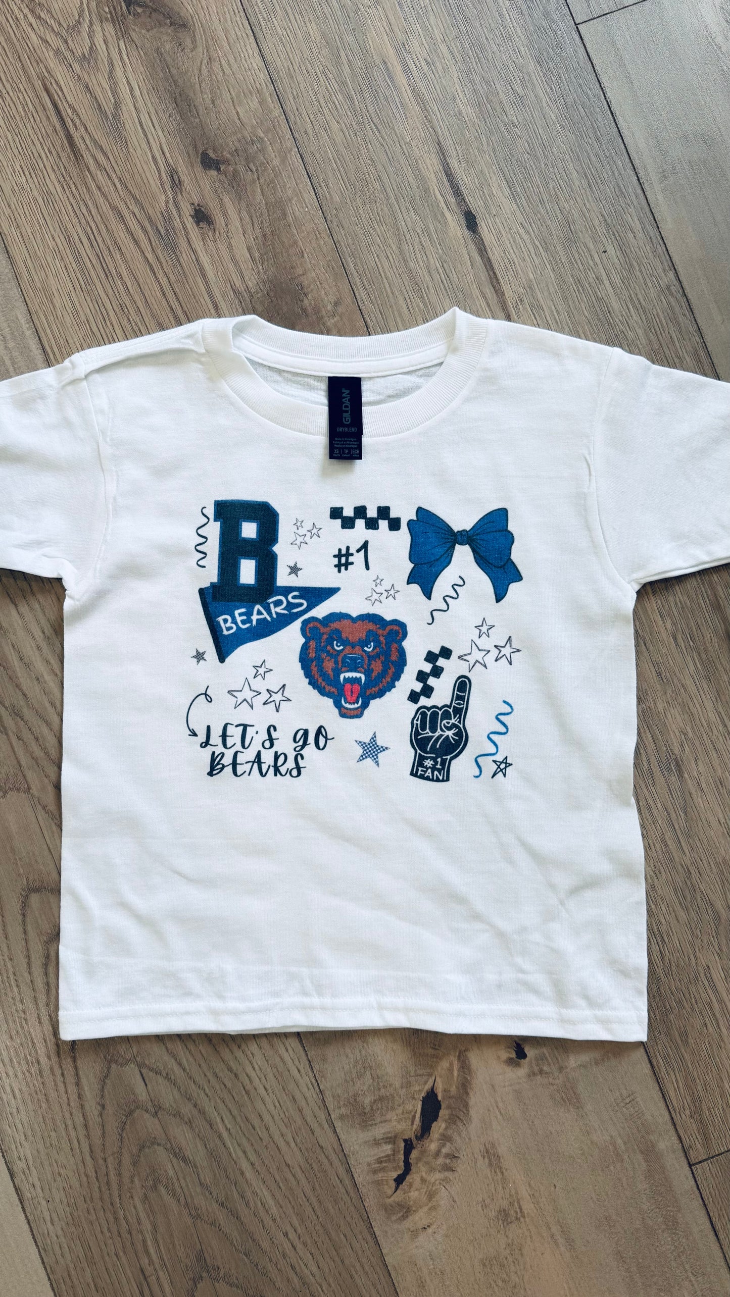 YOUTH Trendy Danville Bears Graphic