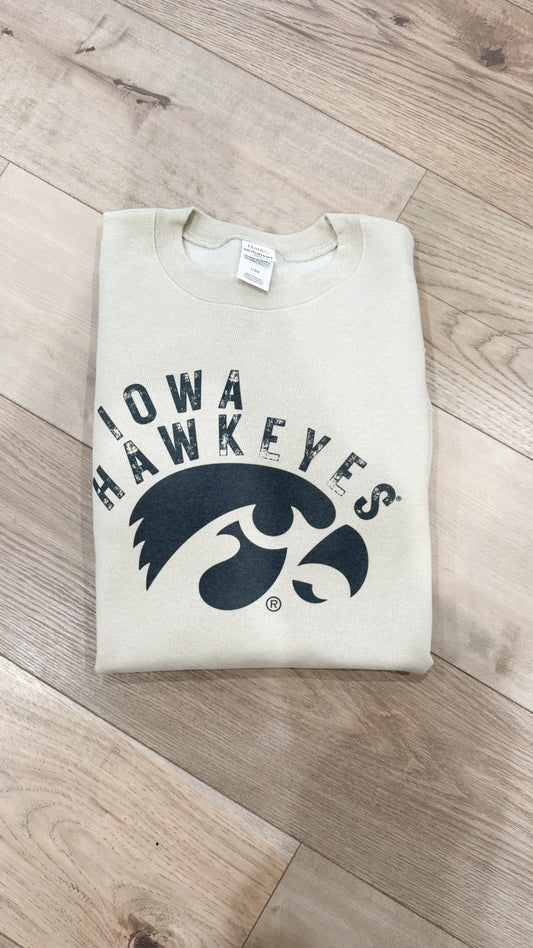 Curved Iowa Hawkeyes Graphic