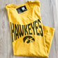 Curved Hawkeyes Graphic
