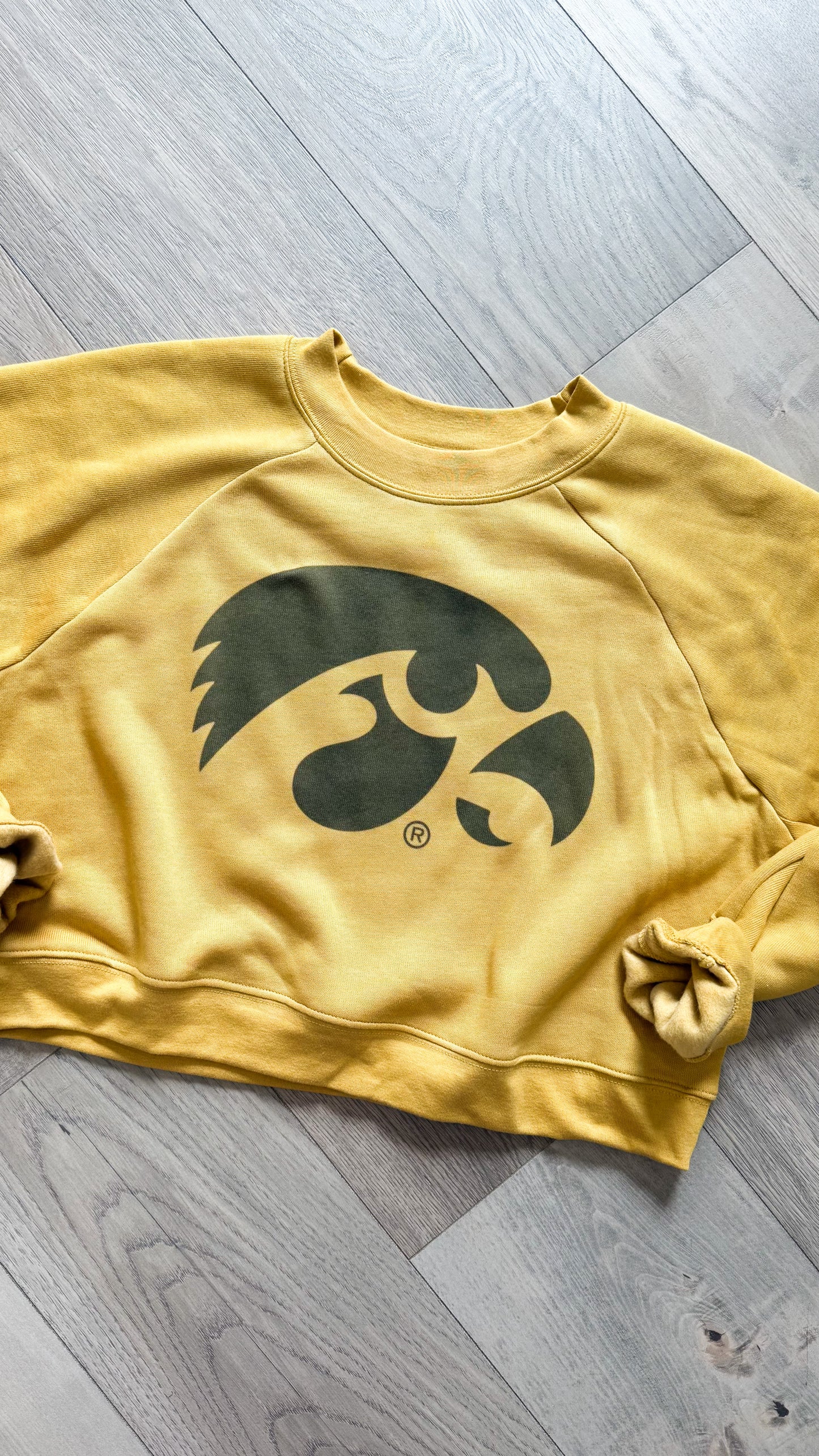 SOFT Hawk Waist Length Pullover