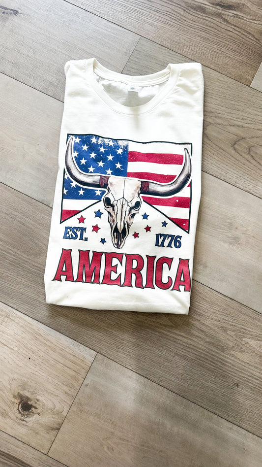 America Horn Graphic