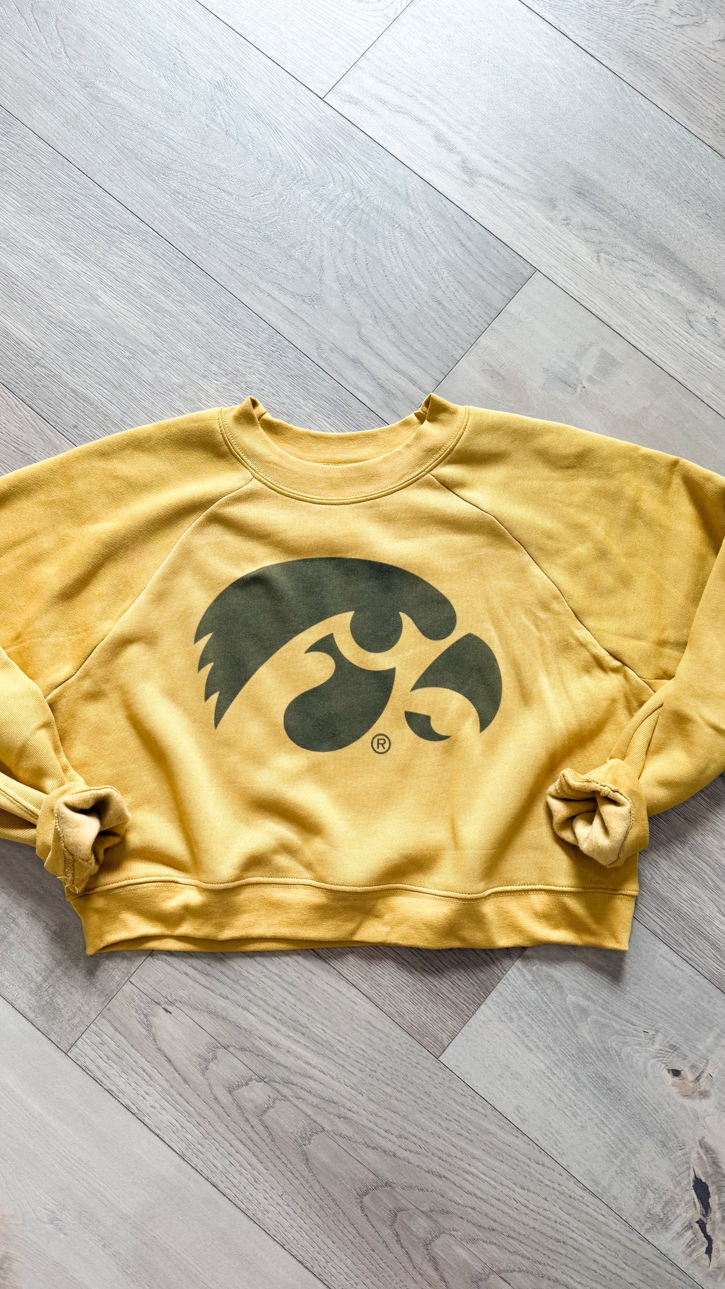 SOFT Hawk Waist Length Pullover