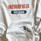 Mediapolis Pocket Crew Logo
