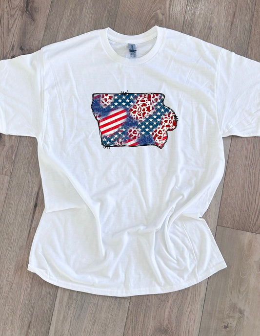4th Of July State Graphic